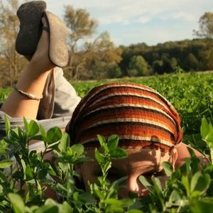 Meet your Posher, Chelsea